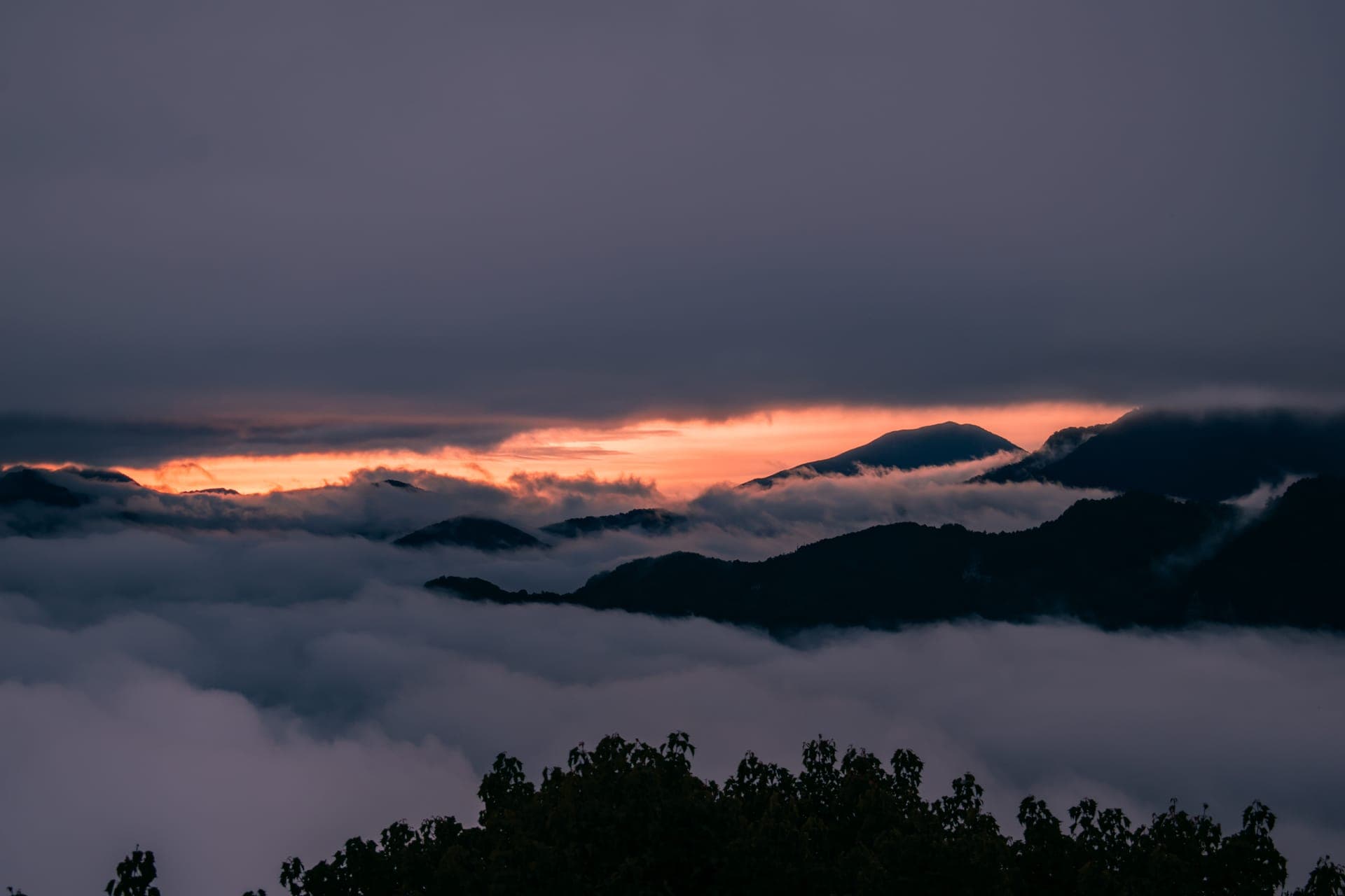 Nature